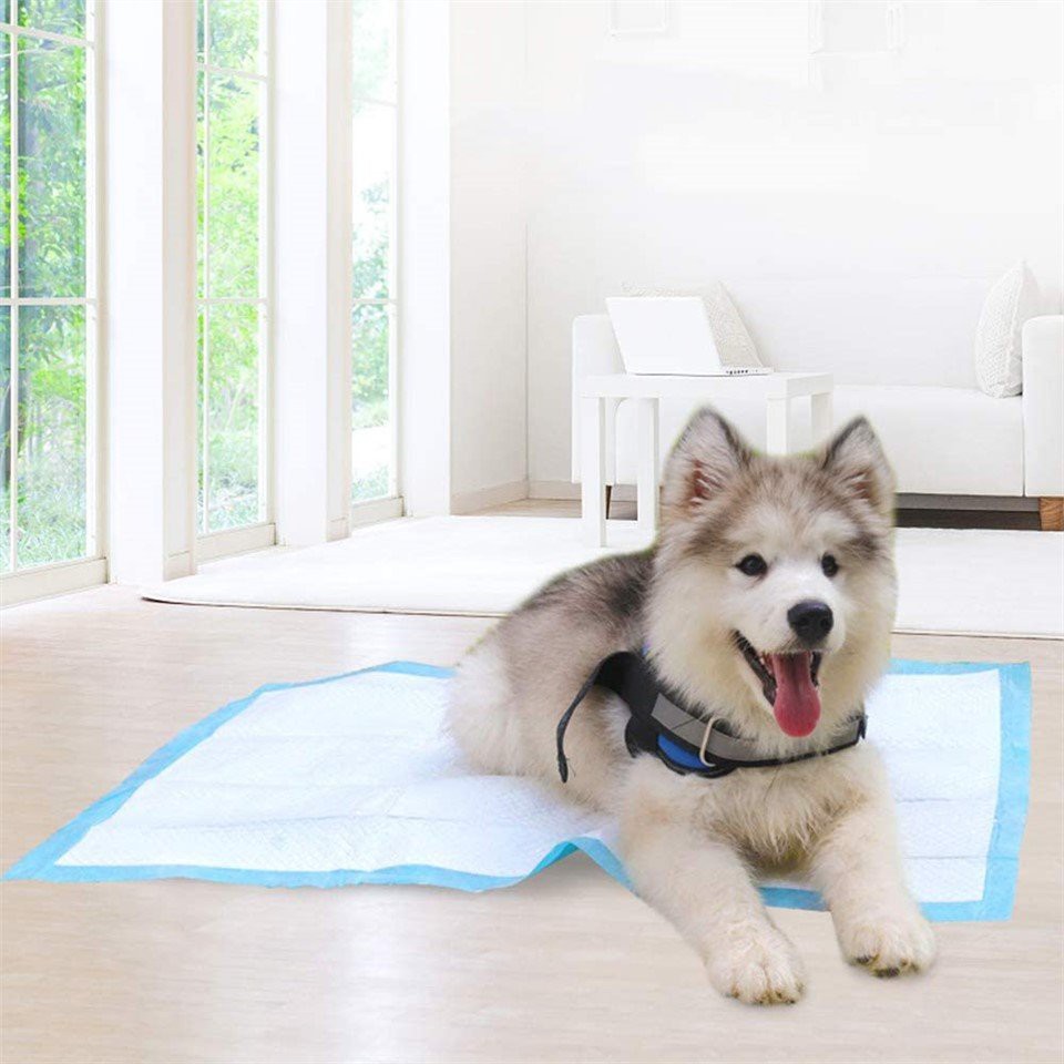 Breathable Biodegradable Pet Pee Pad