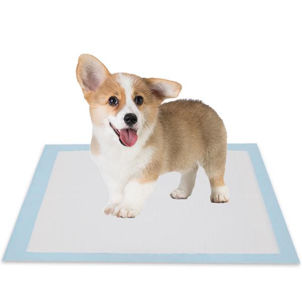 Hygienic Pet Pad Puppy Training Pee Dog Lick Pad